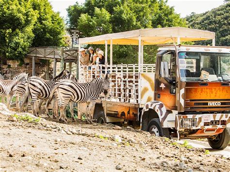 fuengirola selwo|Selwo Aventura Estepona: unique animal park close。